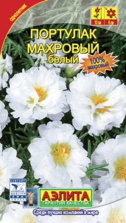 954d95aa-dcea-11dd-9138-00500454e615-2