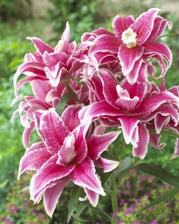 5de678e9-7b64-11e2-bdd5-00500454e615-1