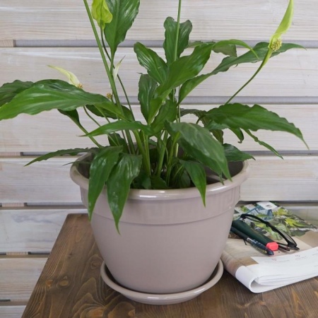 bc51bdcf-5672-11ed-aea3-001e673ebdea-1