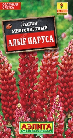 834cf2ec-dcea-11dd-9138-00500454e615-1