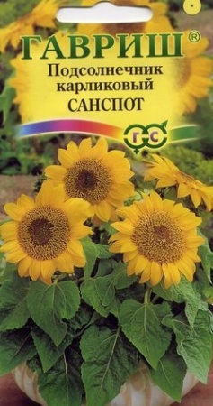 954d94a6-dcea-11dd-9138-00500454e615-2