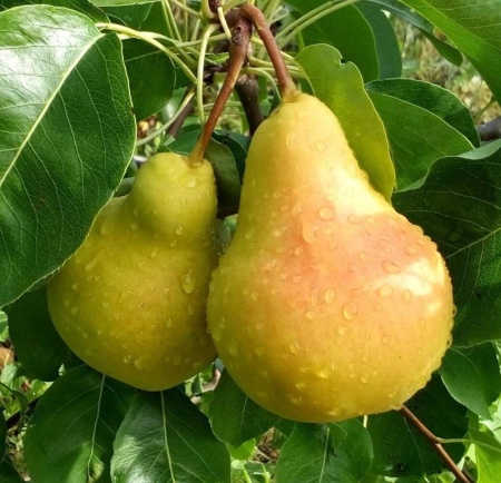 199210be-be16-11f0-891d-246e9611e8f7-1