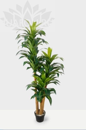 d2ddfd9b-caa6-11f0-891e-246e9611e8f6-1