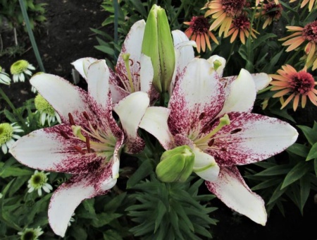 557639cc-b386-11ee-8bd7-001e673ebdea-1