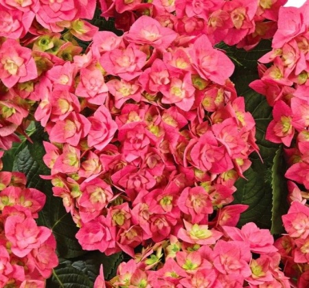 a40c6f4b-c20c-11f0-891d-246e9611e8f7-1