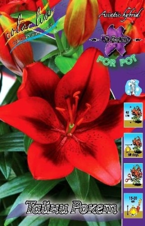 a0b2ead6-11a1-11ed-bf9f-005056c00008-1