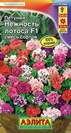 60c96dc5-ca08-11de-87b1-0019dbe91ea3-1