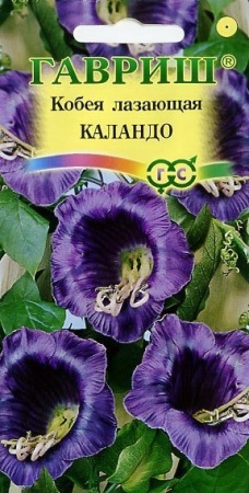 7d524c95-dcea-11dd-9138-00500454e615-1