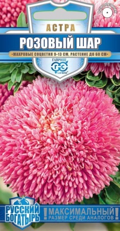 731ce654-bafb-11ec-aea7-005056c00008-1