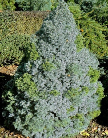 6496b85e-e692-11ee-890a-246e9611e8f5-1