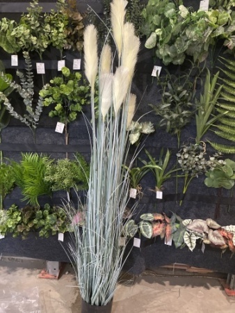 0eae311c-f2b3-11ef-8915-246e9611e8f5-1