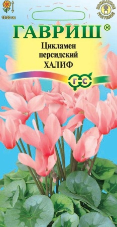 0416b1ac-c551-11de-87aa-0019dbe91ea3-1