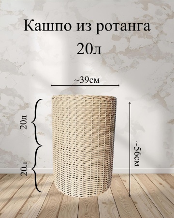 4d99451e-df0e-11f0-891e-246e9611e8f6-2