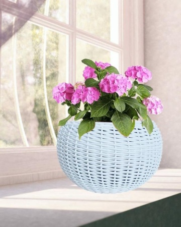 03ece0db-da6f-11f0-891e-246e9611e8f6-1