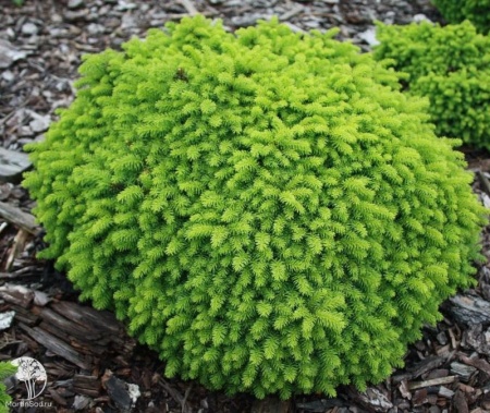 79d0dc68-ecde-11ee-890b-246e9611e8f5-1