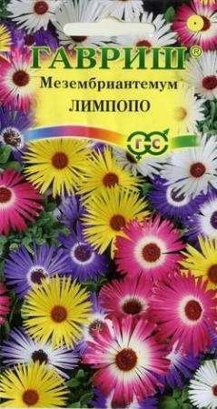 38e29504-419f-11e0-a4e9-00500454e615-2