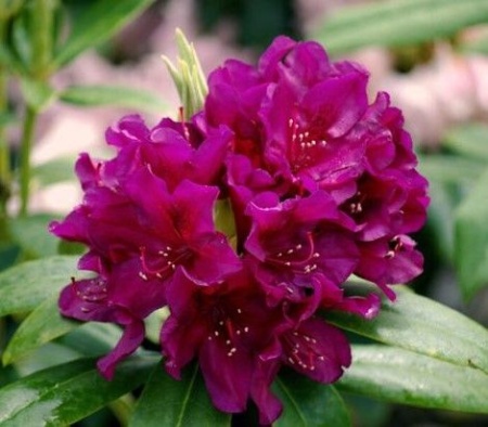 c5bb4b06-d4f0-11f0-891e-246e9611e8f6-1