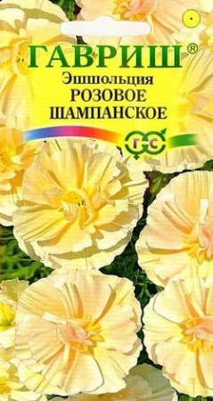 aee7d923-e2a7-11df-b975-0019dbe91ea3-2