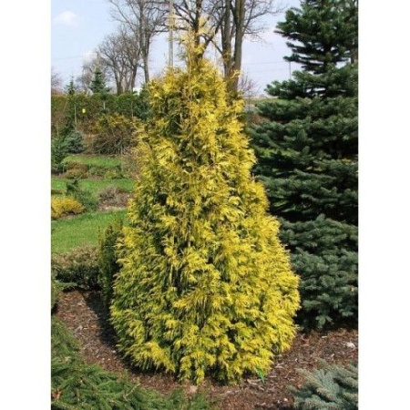 2a75234f-2bcf-11f0-8918-246e9611e8f6-1