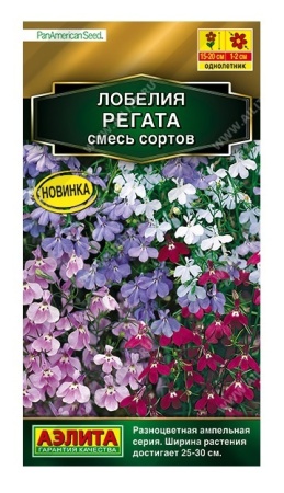 fe438b1c-f807-11ea-b984-005056c00008-1