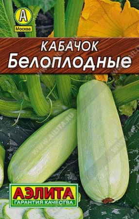 8bf5a238-b949-11f0-891d-246e9611e8f7-1