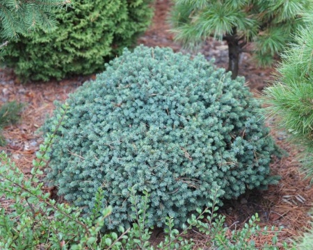 bfa25ca4-d036-11f0-891e-246e9611e8f6-1