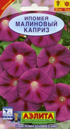 7757a7bc-dcea-11dd-9138-00500454e615-2