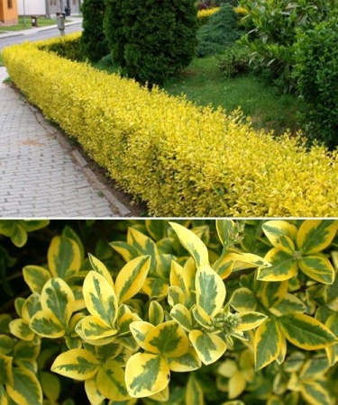 a0e01d3a-5418-11f0-891a-246e9611e8f6-1