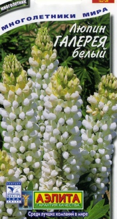 834cf2f6-dcea-11dd-9138-00500454e615-2