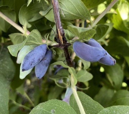 096e69c1-b8b7-11f0-891d-246e9611e8f7-1