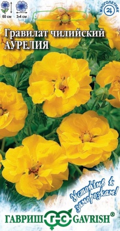 70f41be0-dcea-11dd-9138-00500454e615-1