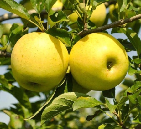 553bf608-bb0e-11f0-891d-246e9611e8f7-1