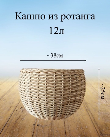 a7bff9e1-d667-11f0-891e-246e9611e8f6-3