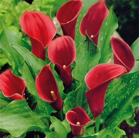 f89baac9-83ca-11e2-8ea8-00500454e615-1