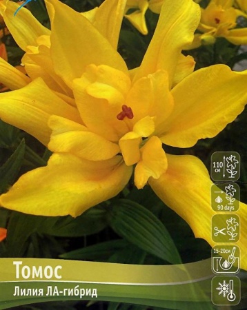 275dd44b-b38a-11ee-8bd7-001e673ebdea-1