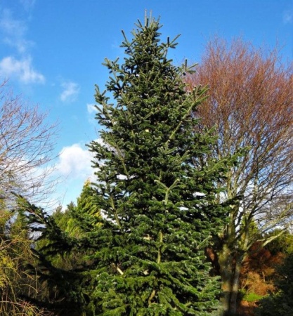 68815100-d4e1-11f0-891e-246e9611e8f6-1