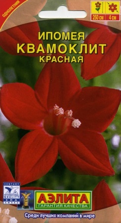 7757a7ae-dcea-11dd-9138-00500454e615-2