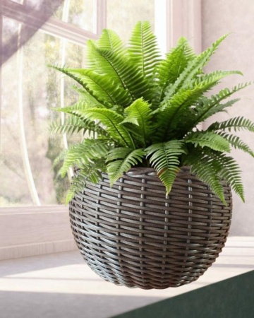 9fffa9cd-da6f-11f0-891e-246e9611e8f6-1