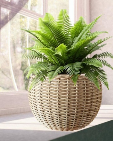 66ad3084-da70-11f0-891e-246e9611e8f6-1