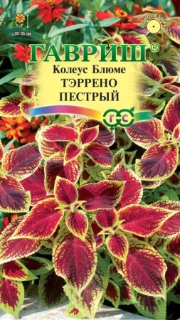 dce277eb-190e-11e7-99b3-001e673ebdea-1