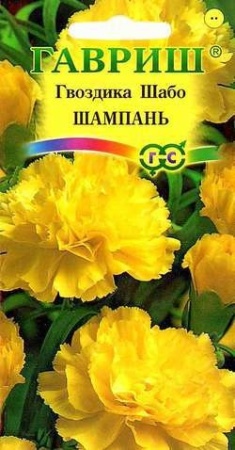 4fa3dfad-c519-11de-87aa-0019dbe91ea3-2