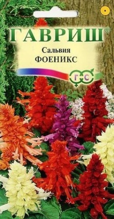 38e2951e-419f-11e0-a4e9-00500454e615-2