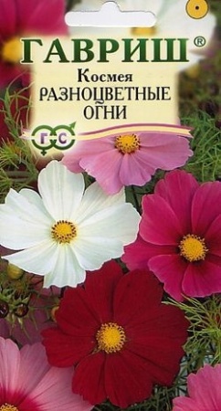 7d524d31-dcea-11dd-9138-00500454e615-2