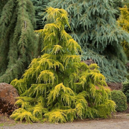 29d60aa8-d1b9-11f0-891e-246e9611e8f6-1