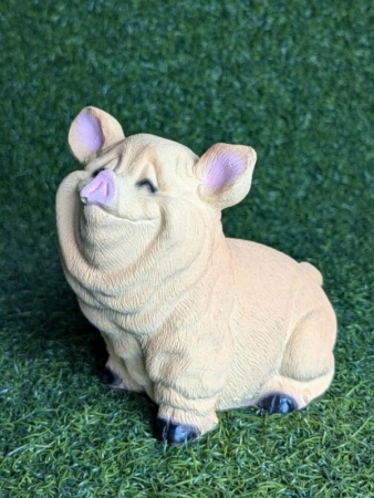 9f010ac9-144f-11f0-8918-246e9611e8f6-1