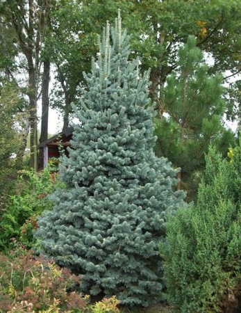 c540b000-c1c4-11ef-8915-246e9611e8f5-1