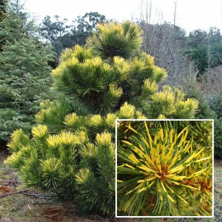 f7851f21-d76b-11f0-891e-246e9611e8f6-1