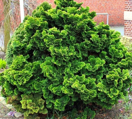 eddc72ef-cf9c-11e4-9bdf-001e673ebdea-1