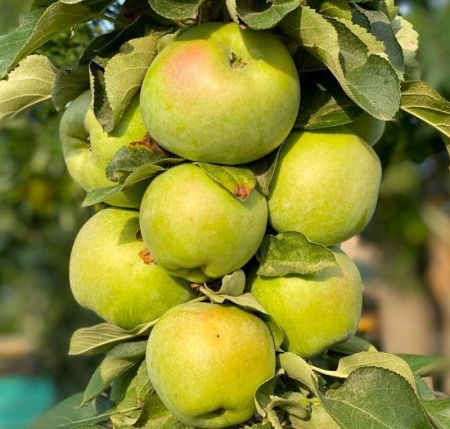 2d01107a-bba0-11f0-891d-246e9611e8f7-1