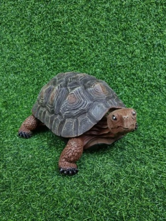 6c65c3b5-1455-11f0-8918-246e9611e8f6-1